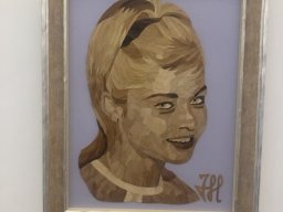 Exposición Pinceladas de canas